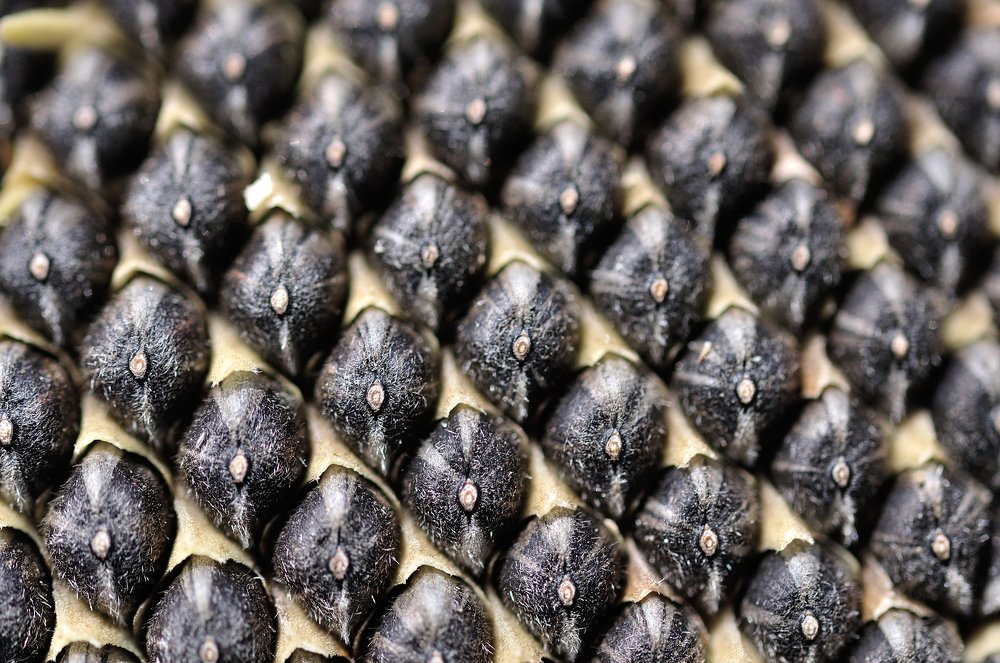 Фотография автора Teglaş Marin