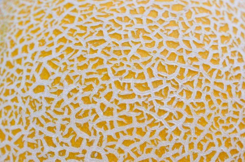 Фотография автора Teglaş Marin