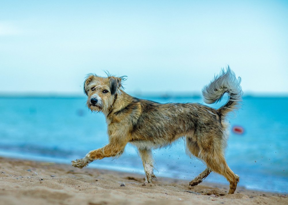 Photograph by Сергей Ершов