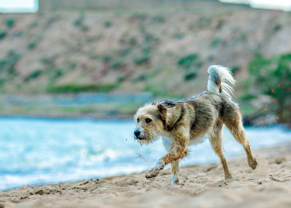 Photograph by Сергей Ершов