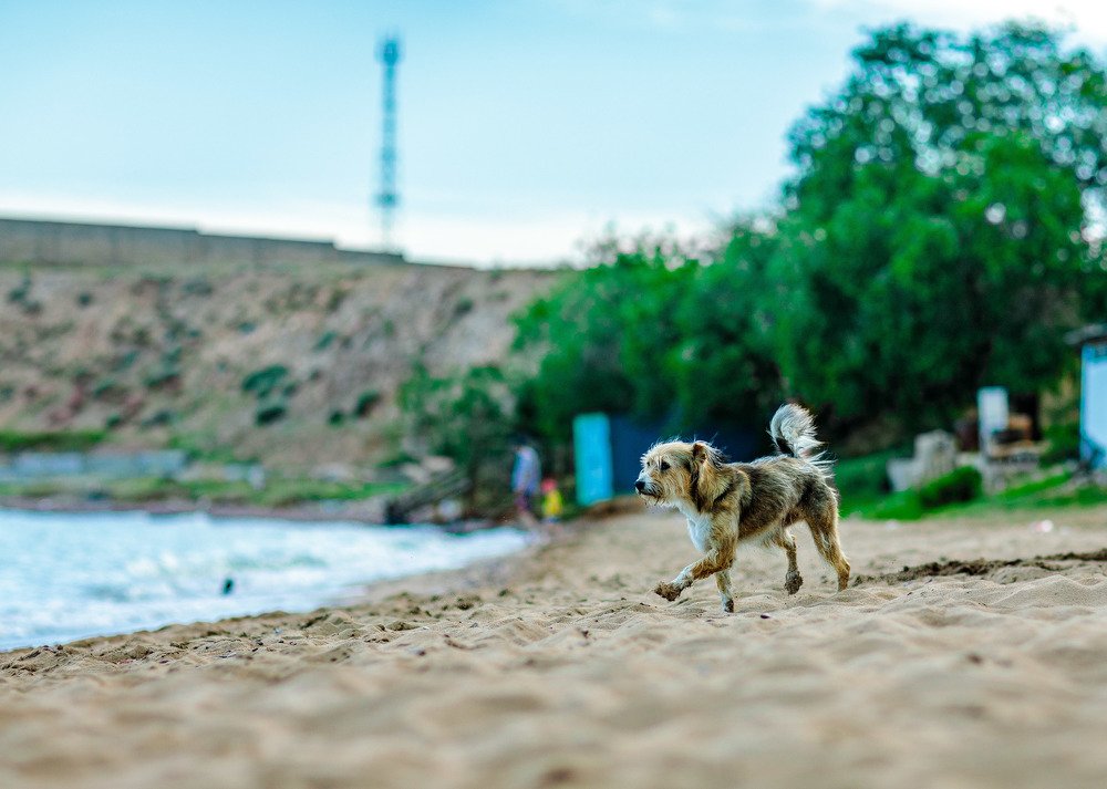 Photograph by Сергей Ершов