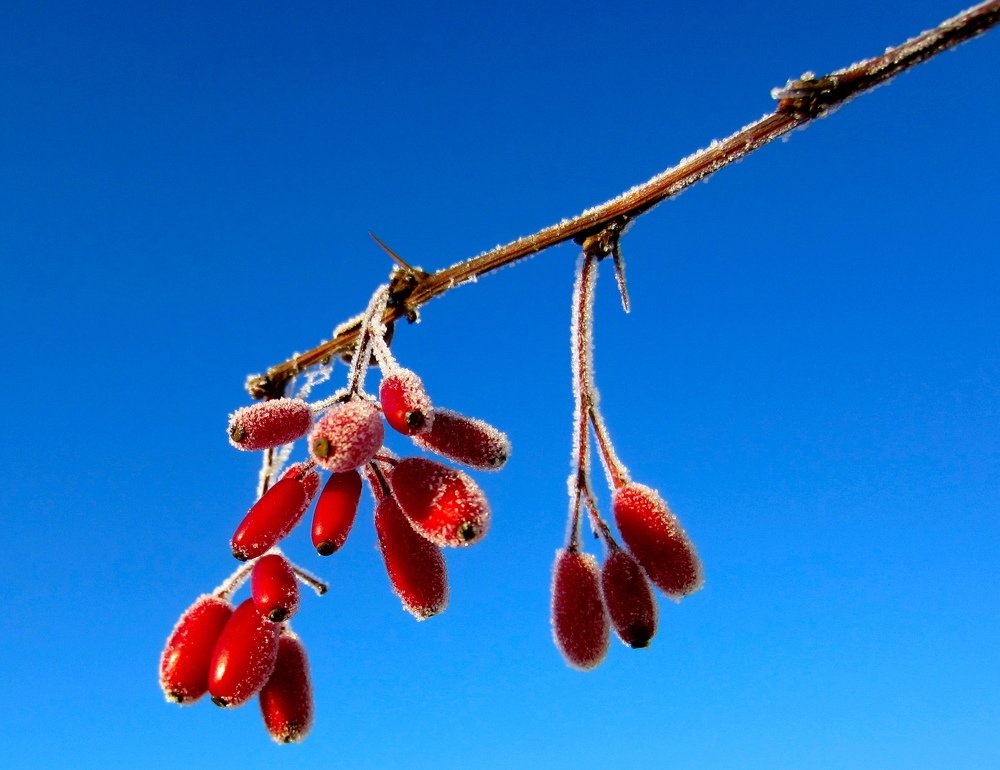 Photograph by Алексей Обухов