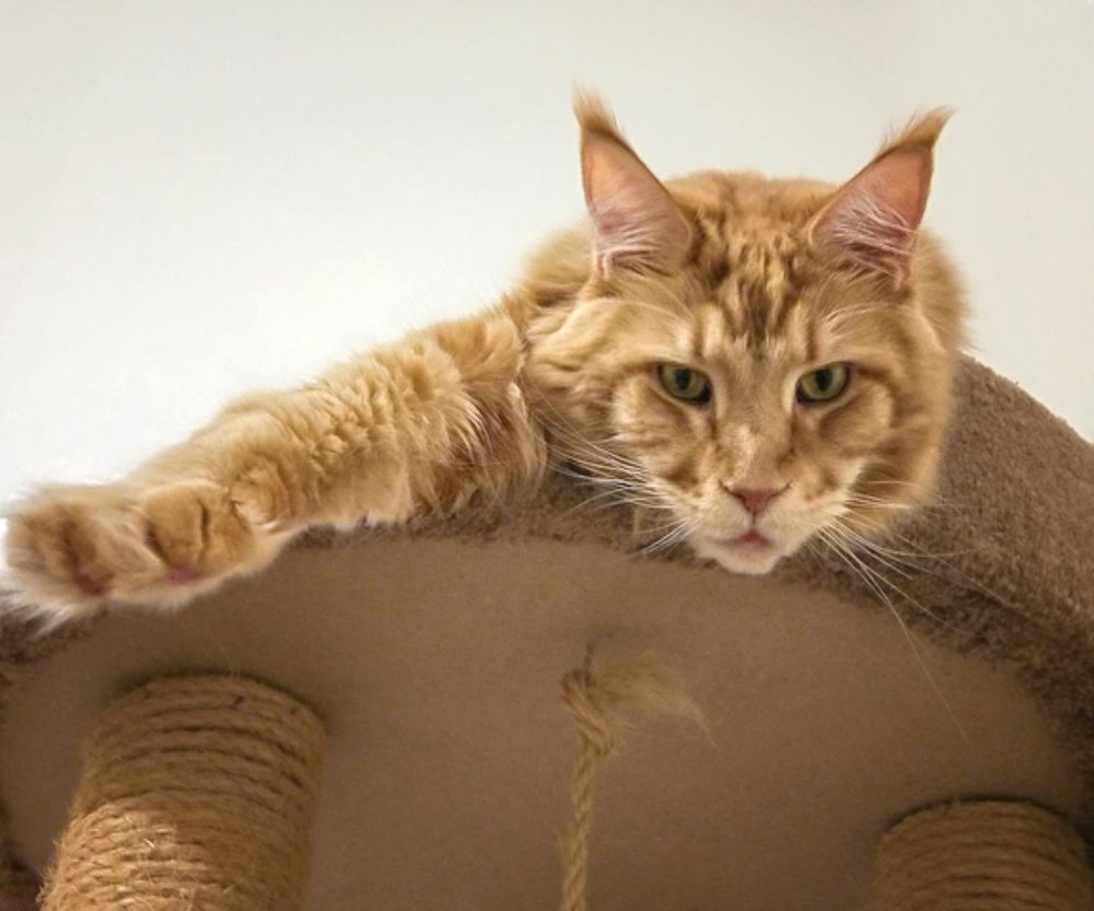 Photograph by Вячеслав Прыгун