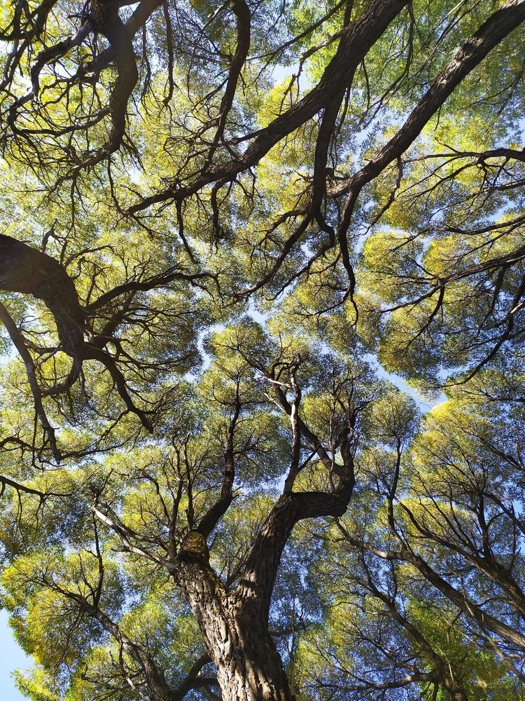 Photograph by Дьяченко Нина