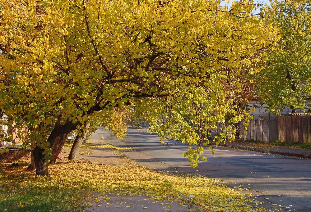 Photograph by Елена Куннова