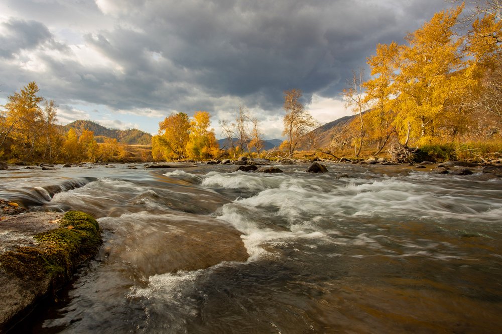 Photograph by Алексей Кустов