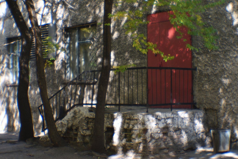 Photograph by Tatyana