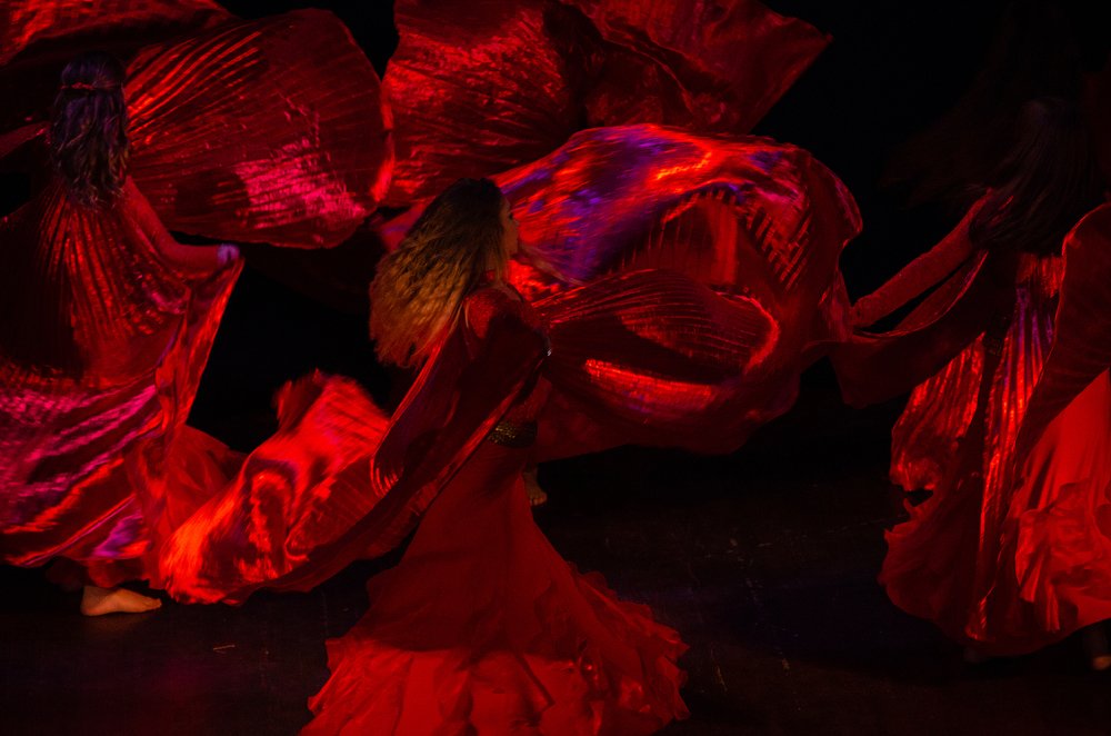 Фотография автора Майя Афзаал