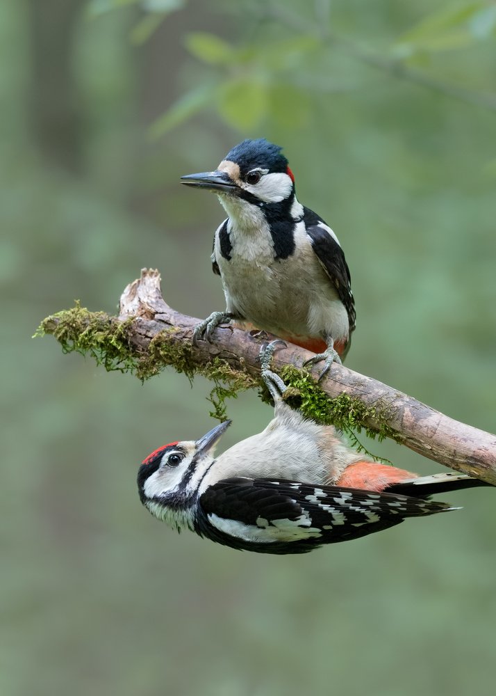 Photograph by Сергей Сильченков