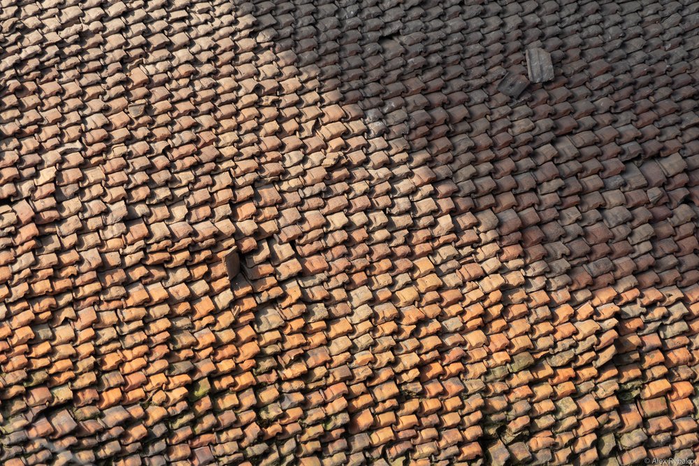 Photograph by Александр Рыбаков