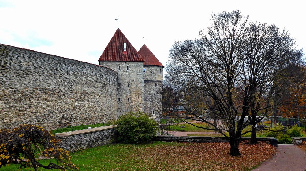 Photograph by Евгений Евдокимов