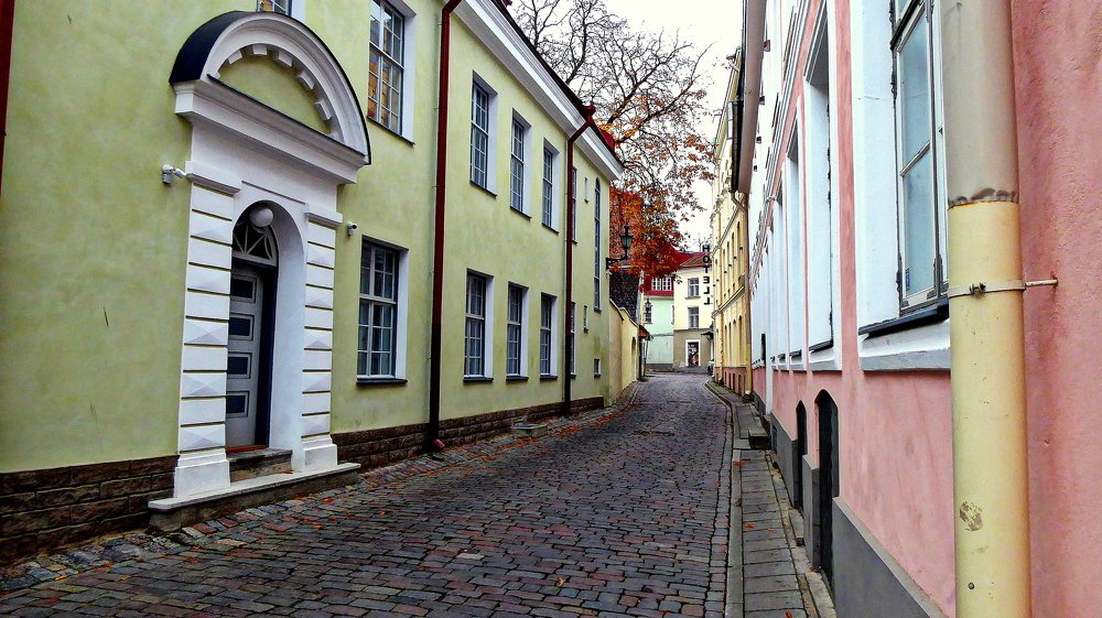 Photograph by Евгений Евдокимов