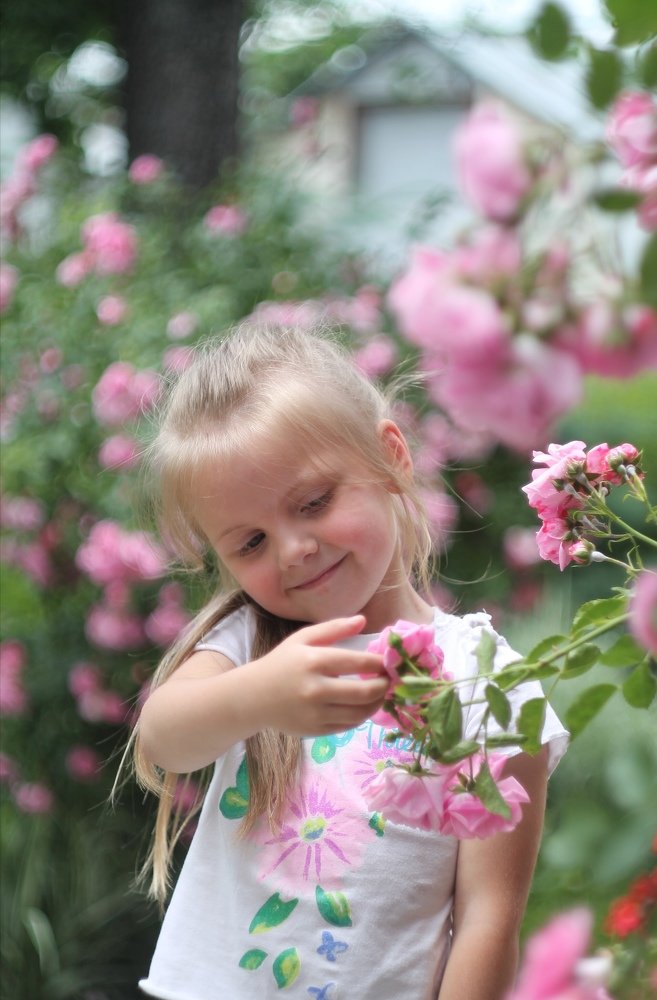 Photograph by Елизавета Синица