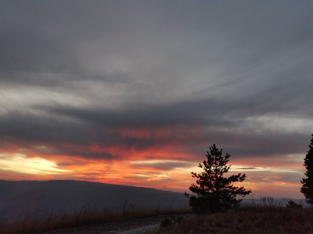 Photograph by Елизавета Синица