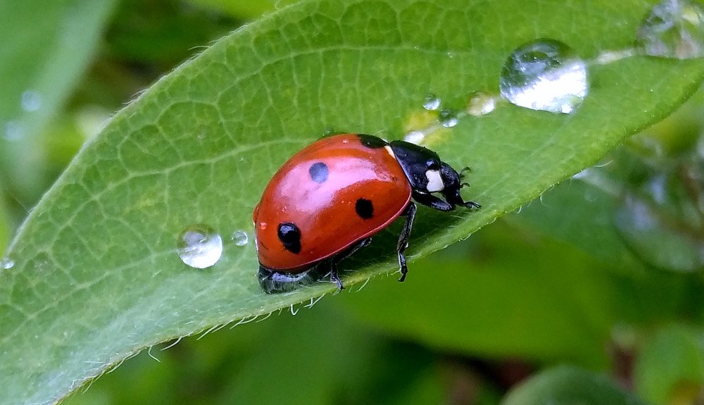 Photograph by Евгений Фазлеев