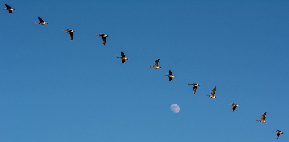 Photograph by Роман Фабричный