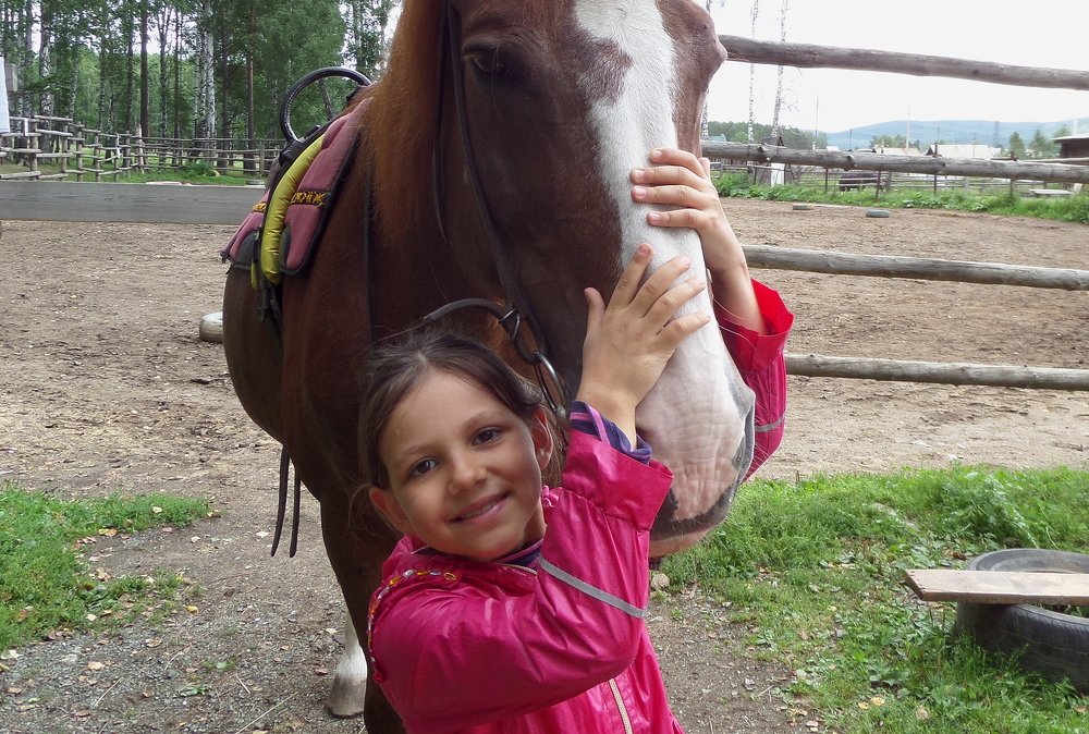 ВЕРНЫЙ ДРУГ