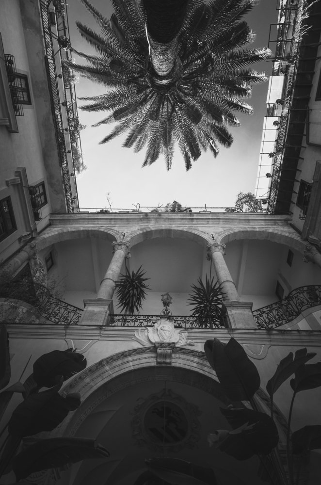 Photograph by Бизенкова Елена