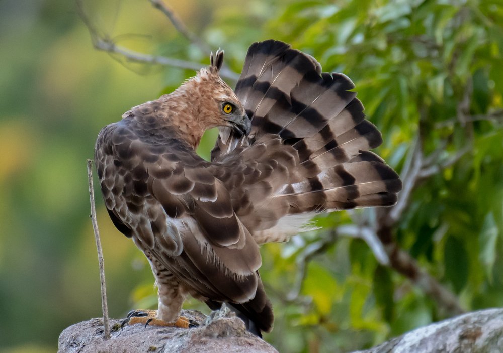 Photograph by Сергей Сыресин