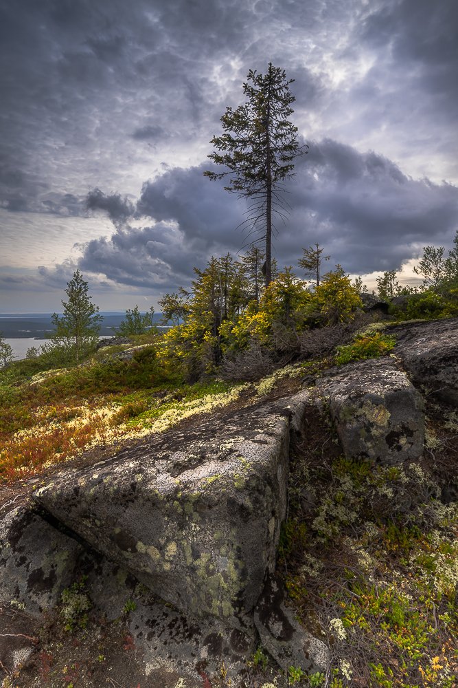 Геометрические причуды Лапландского заповедника
