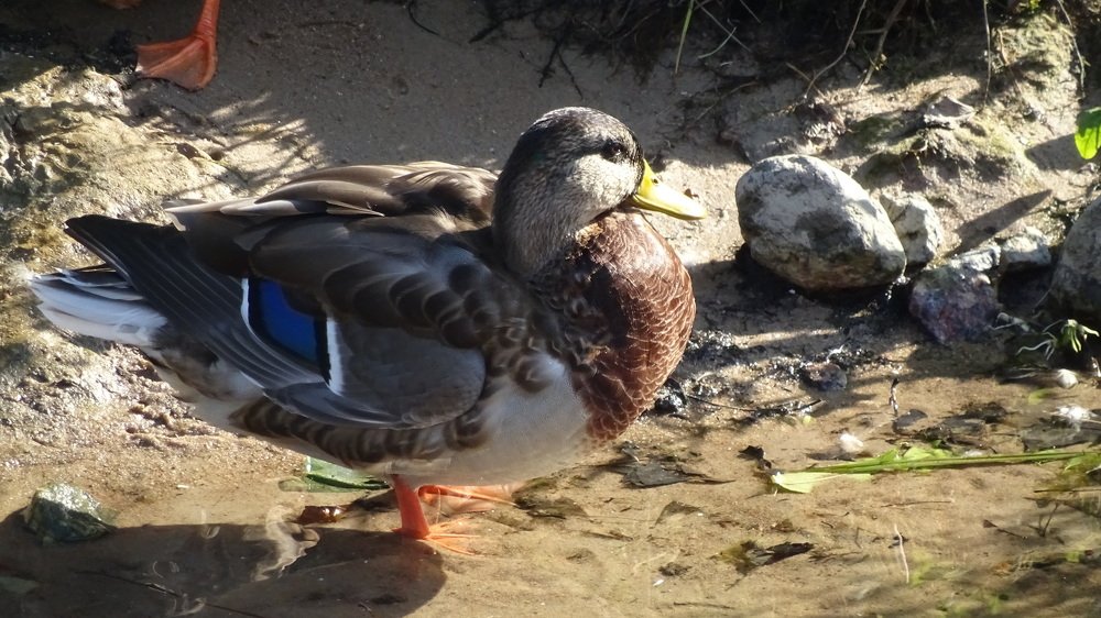 Photograph by Марина Хабибулина