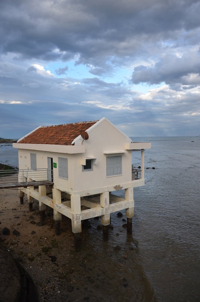 Photograph by Людмила Воропаева