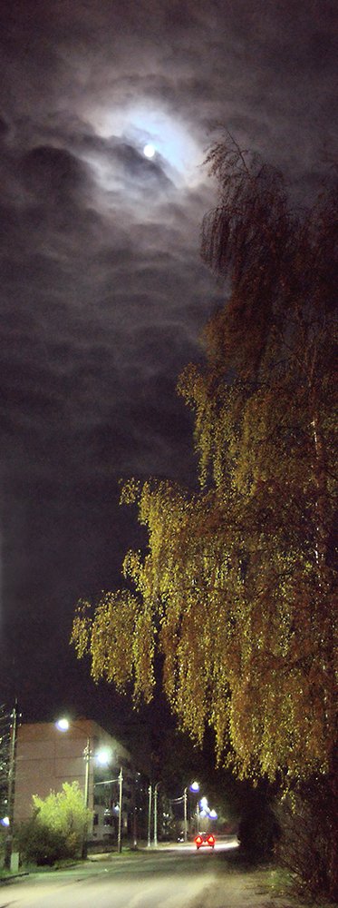 Над городом месяц поднялся