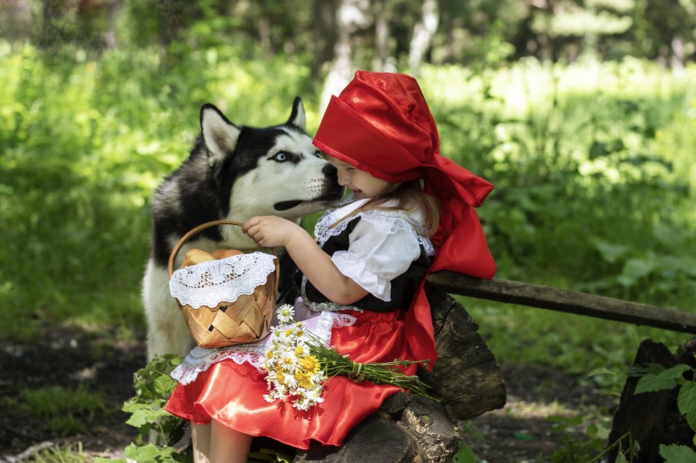 Фотография автора Инна Шикина