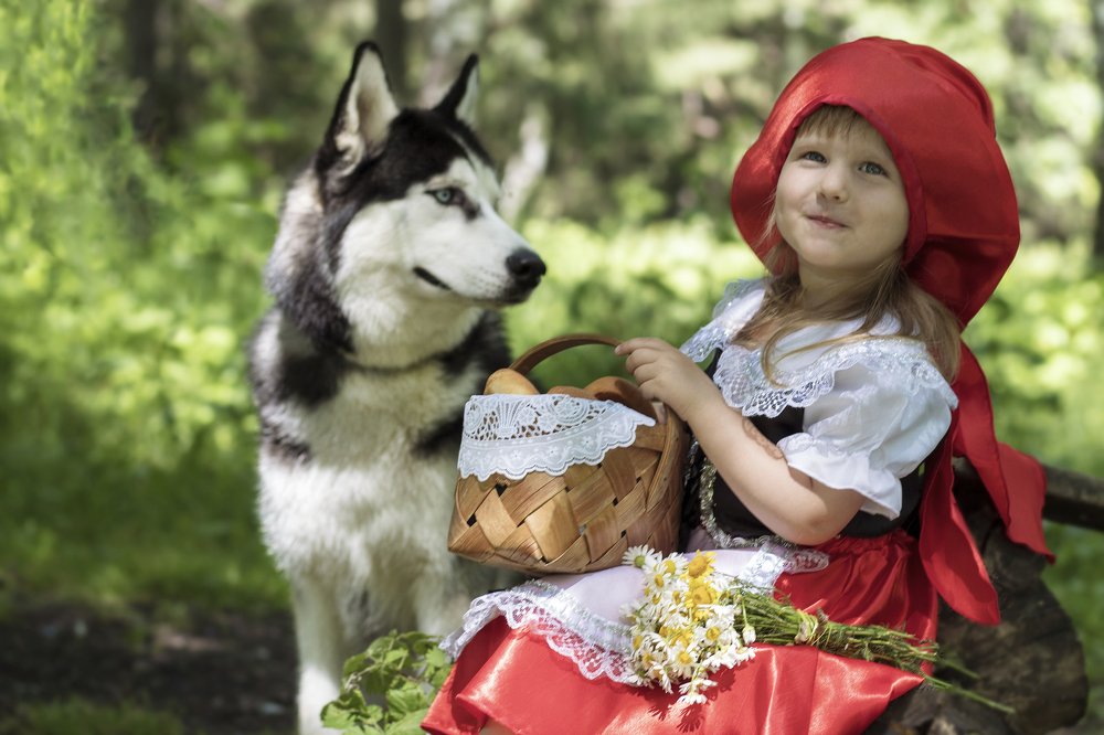 Фотография автора Инна Шикина