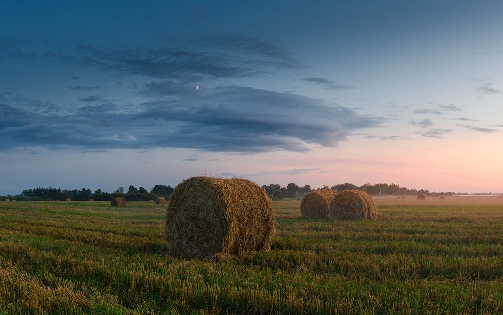 Фотография автора Майя Афзаал