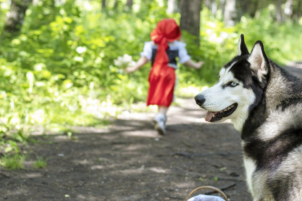 Фотография автора Инна Шикина