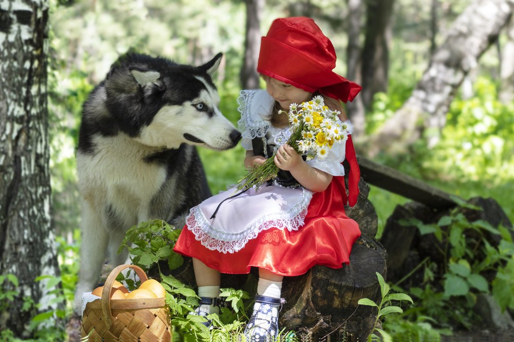 Фотография автора Инна Шикина