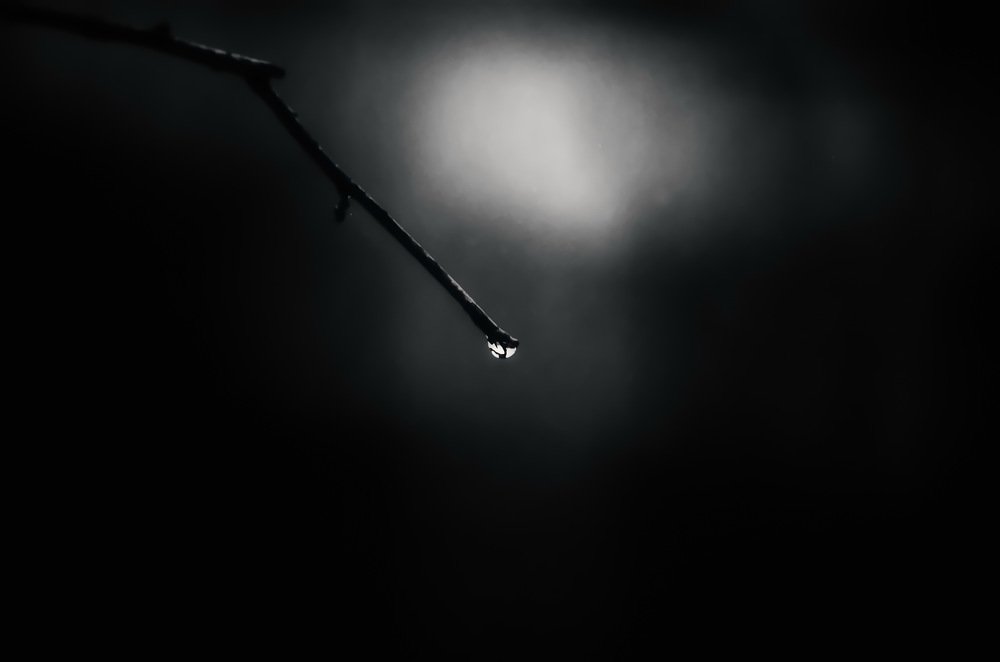 Photograph by Сергей Клапишевский