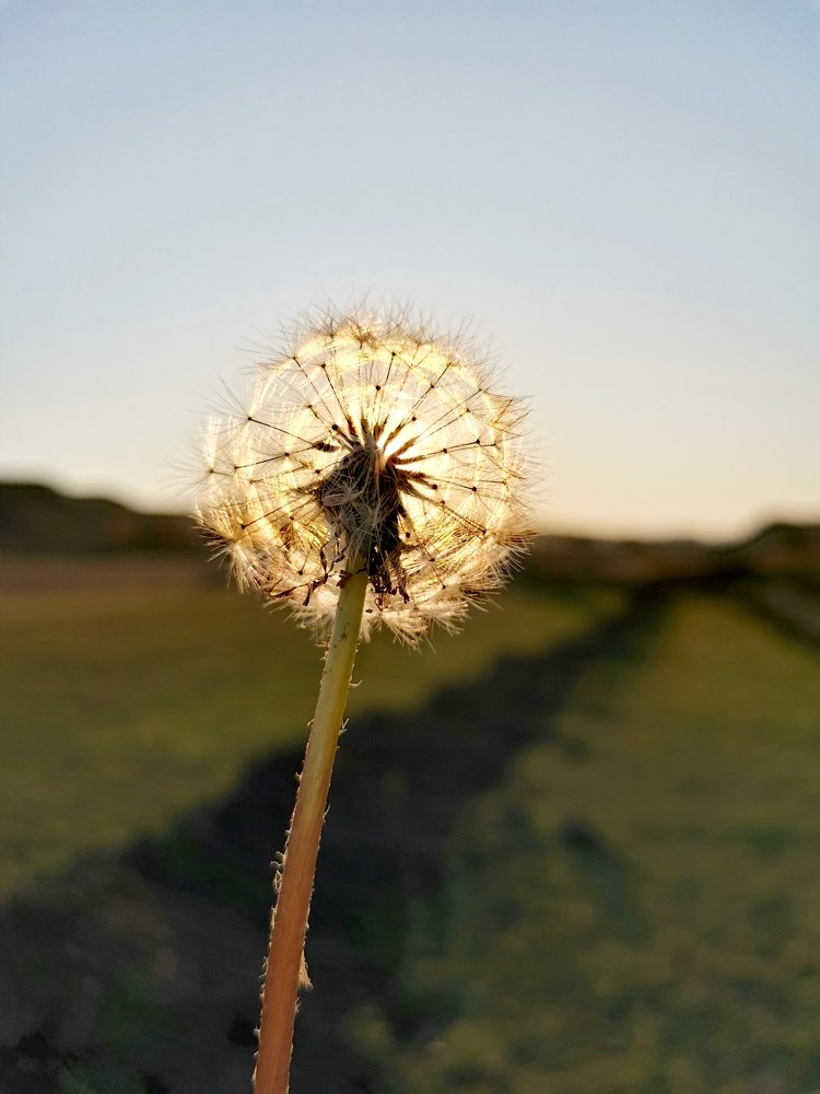 Photograph by Елизавета Синица