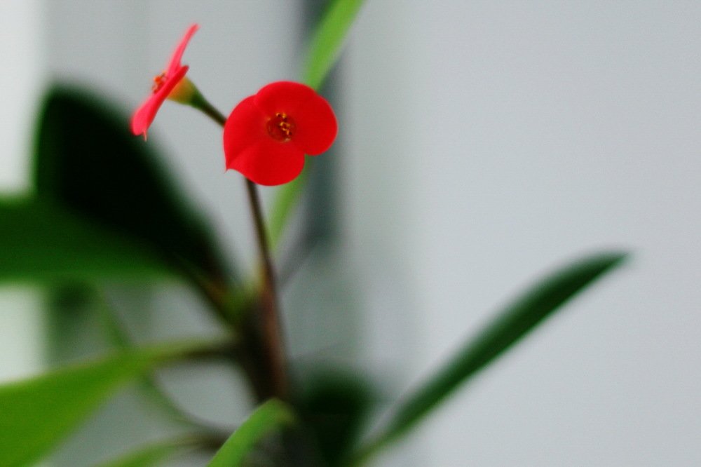 Photograph by Вадим Беляев