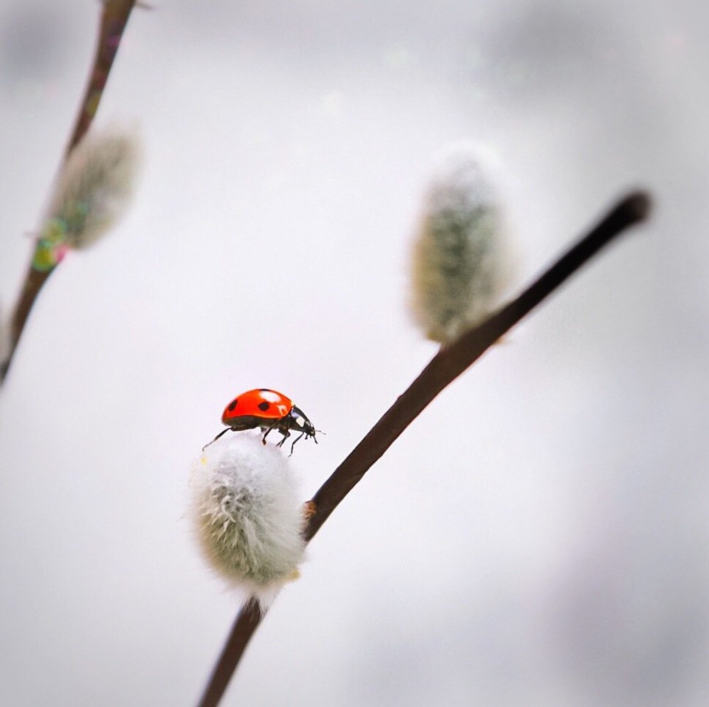 Photograph by Anna Sindikayeva