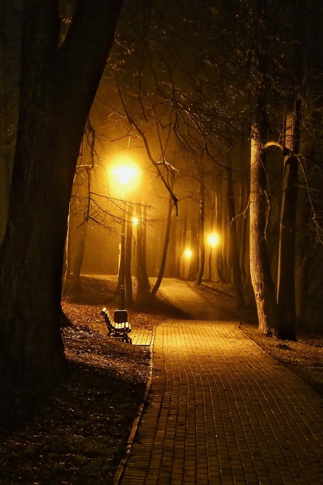 Photograph by Илья Шамин