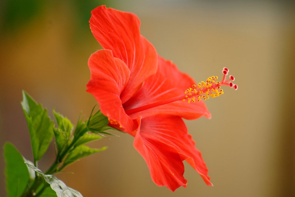 Photograph by Сергей Стукен