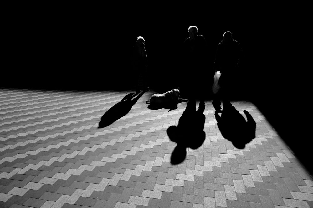 Photograph by Егор Бафталовский