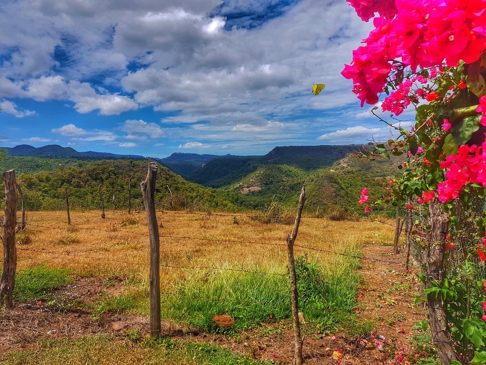 Photograph by Yenifer Cruz