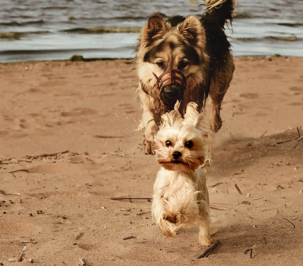 Photograph by Варвара Сапрыкина