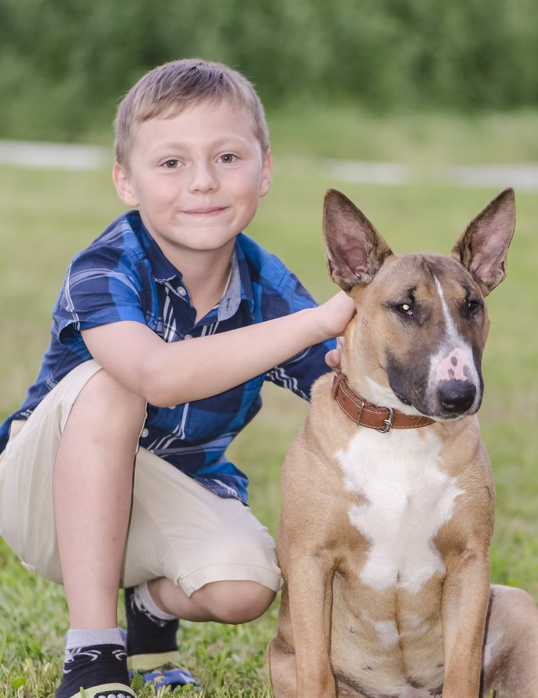 Купите собачку?!