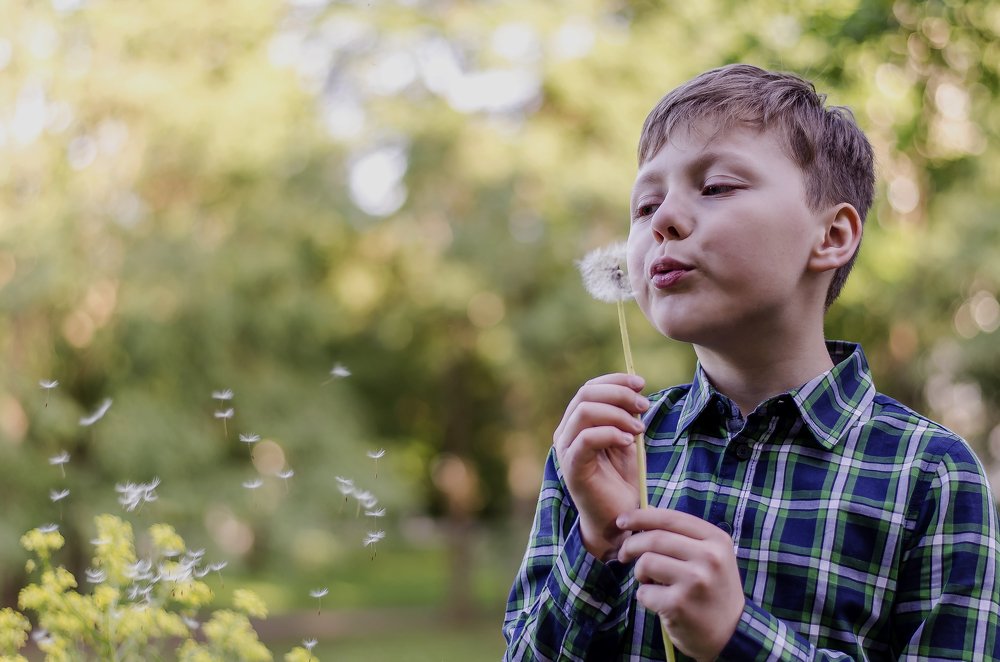 Парашютики. Полет.