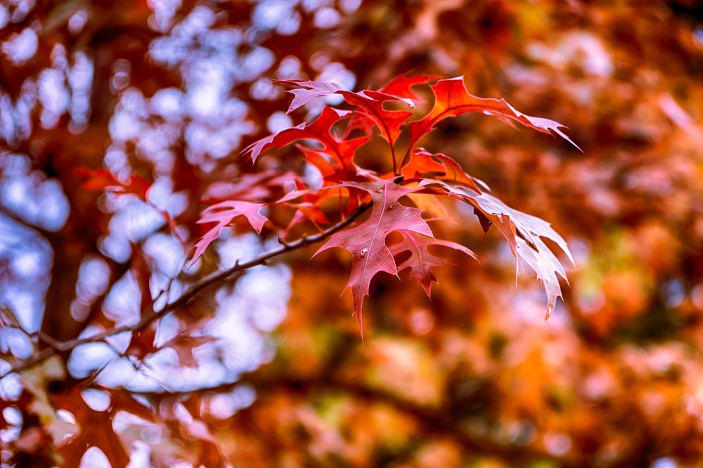 Photograph by Сергей Стукен