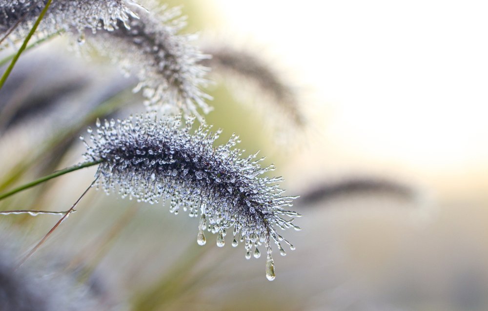 Фотография автора Михайло Павленко