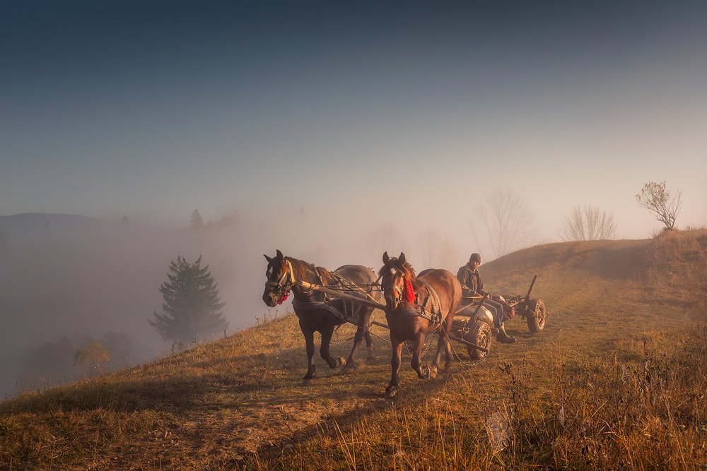 Photograph by Ольга Рудченко