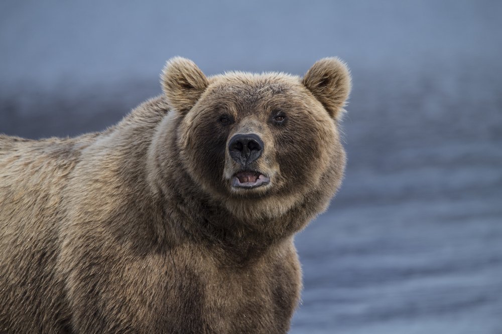 Photograph by Алексей Шаскольский