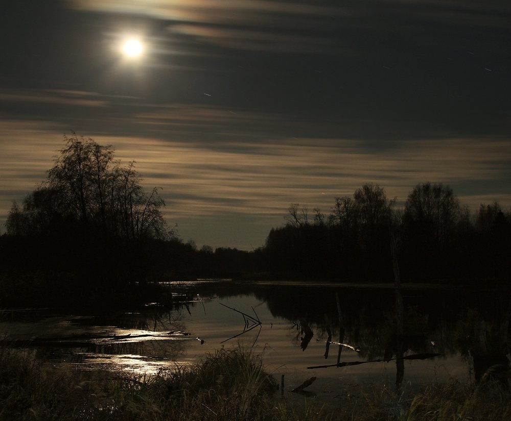 Бобровый пруд