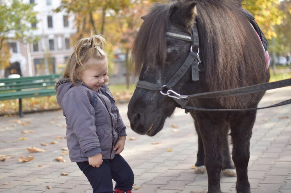 Horse the best friend , Ukrainian