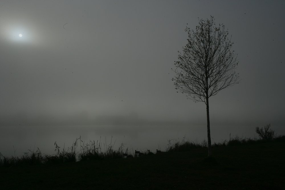 Фотография автора Андрей Шувалов